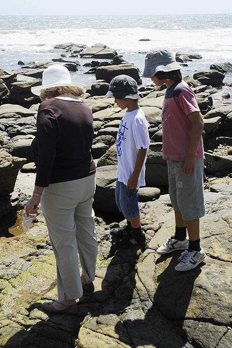 Exploring the rockpools, Alexandra Headland, Nov 2007