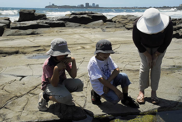 Exploring the rockpools, Alexandra Headland, Nov 2007