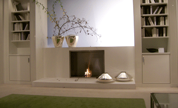 1296938677EcoSmart_wkmu06bauer2.gif