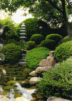 image4.gif