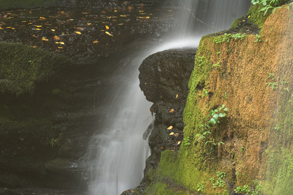 childs park-fulmer falls-2.jpg