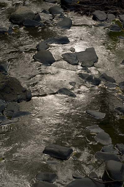 rock + water almost b+w.jpg