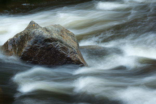 PBASE-stream-rock1.jpg
