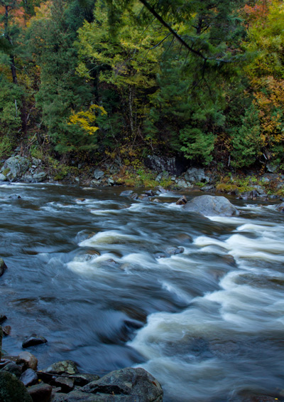 PBASE-stream1.jpg
