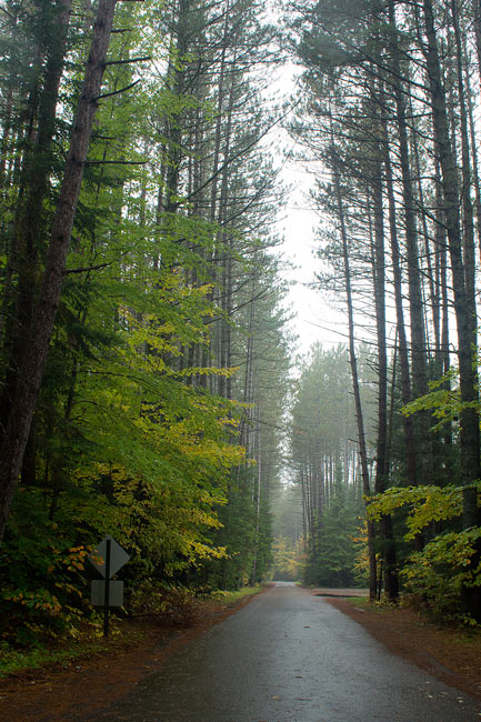 PBASE-LONG-WALK.jpg