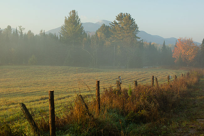 PBASE_DSC2290.jpg