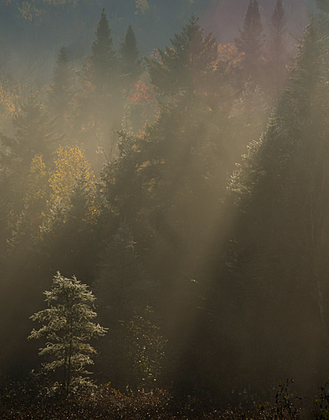 PBASE_DSC2348.jpg