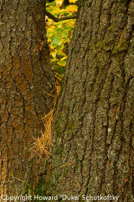 20121012-_DSC2451.jpg