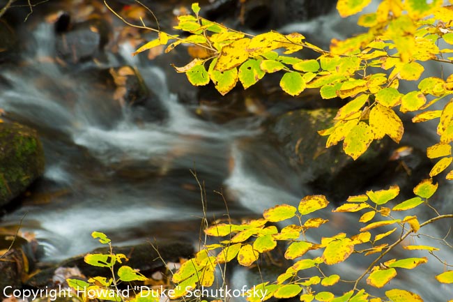 20121012-_DSC2448.jpg