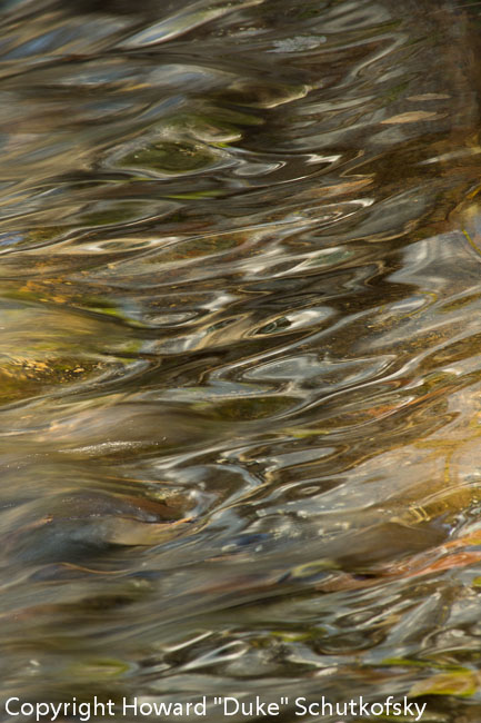 20121012-_DSC2465.jpg
