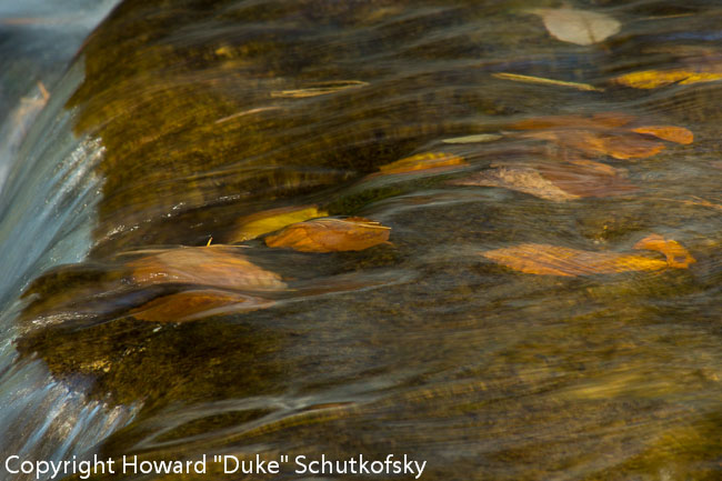 20121012-_DSC2462.jpg