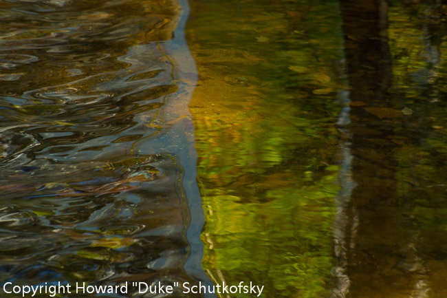 20121012-_DSC2458.jpg