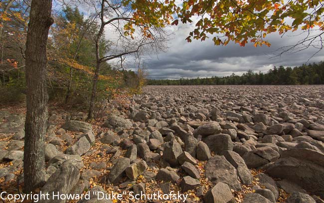 BOULDER FIELD 1.jpg