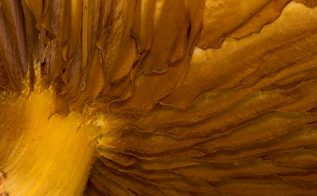 20121012_DSC2505.jpg