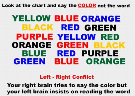 leftrightbrain