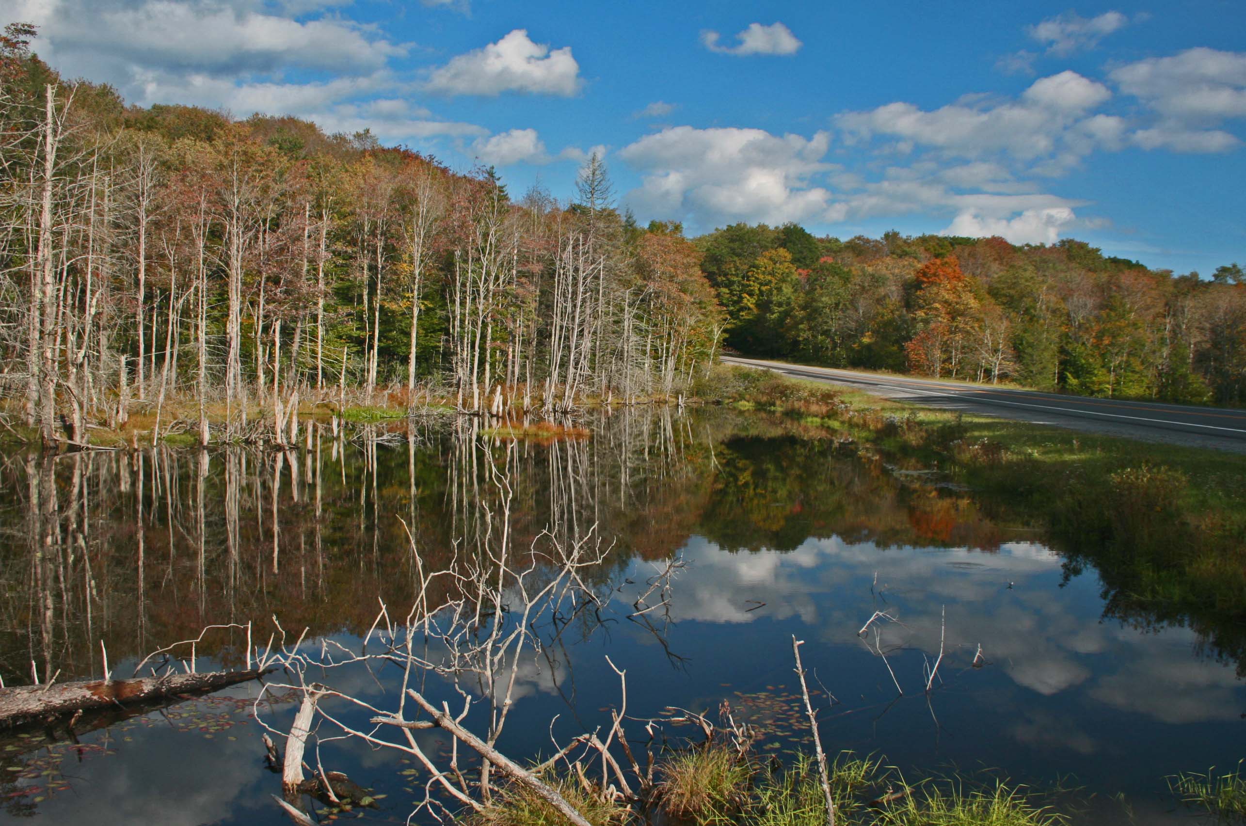 Early Fall Reflections Hills Creek Pond tb0912tar.jpg