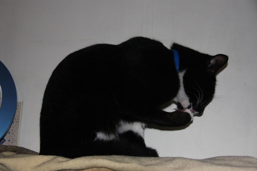 nisan2009 Cleaning.jpg