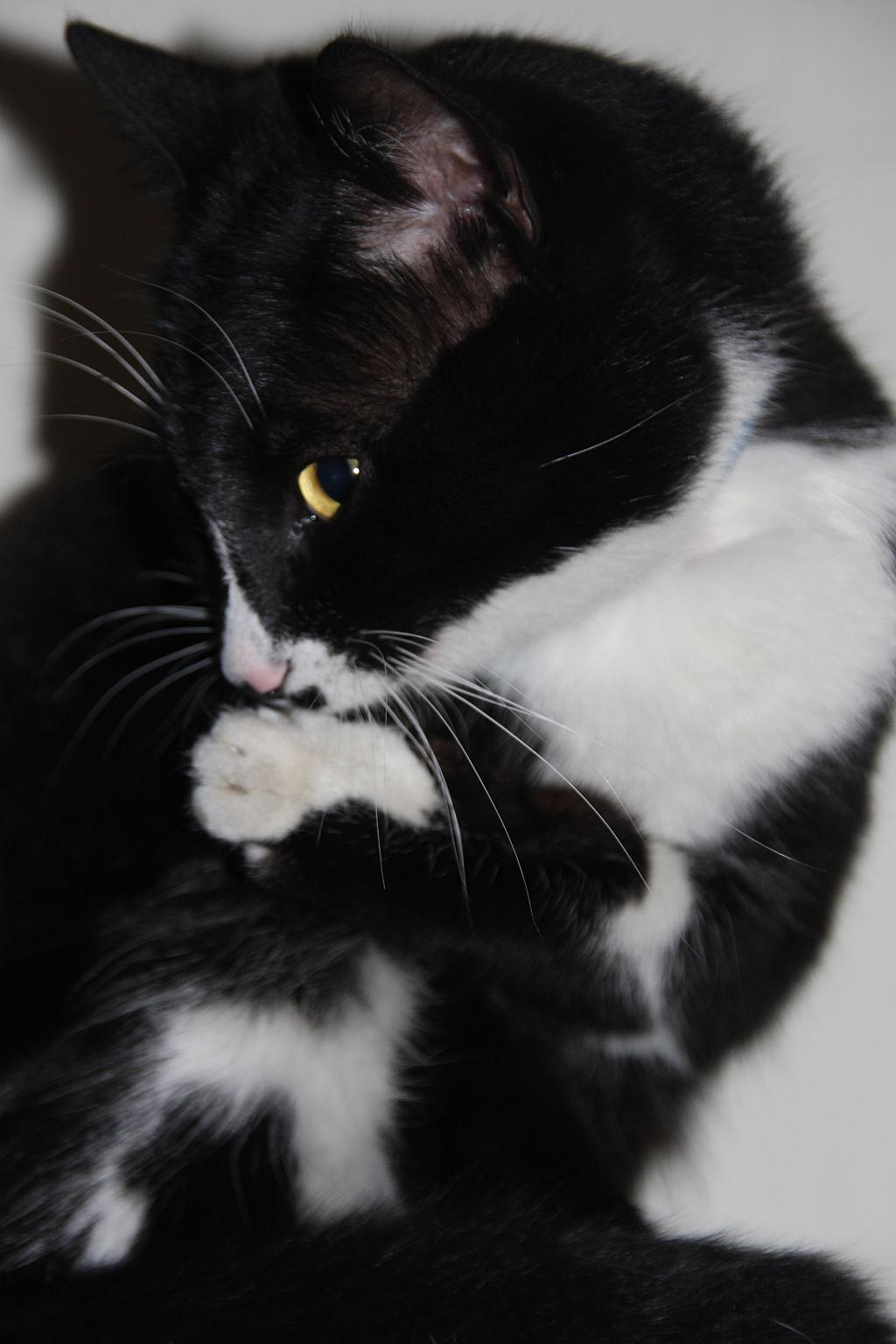 nisan2009 KK Saying shhhh.jpg