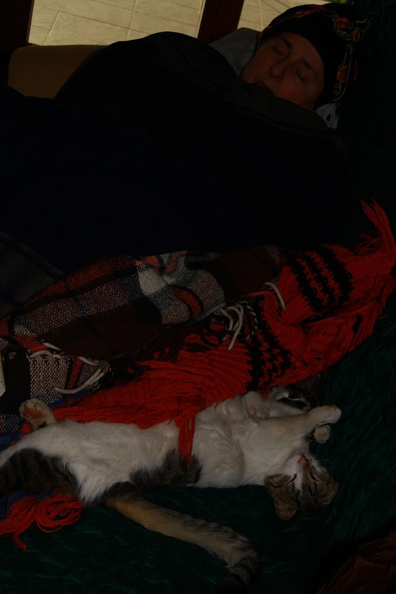 Winter time like summer 002.jpg