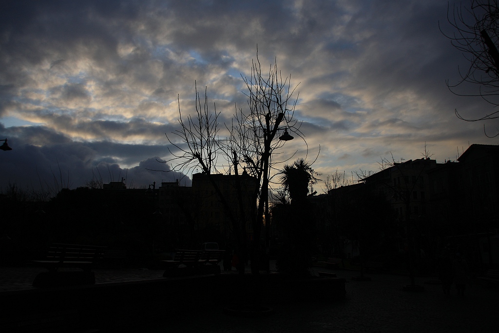 IMG_6494.jpg