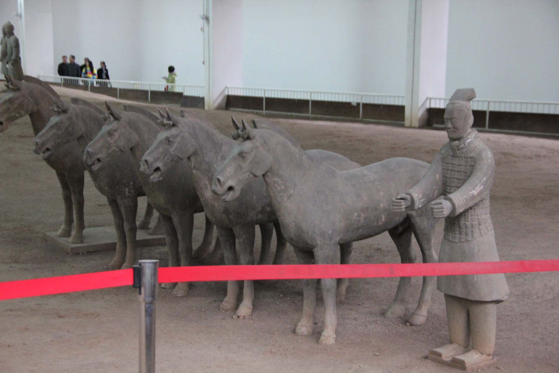 Well-preserved cavalry horses at the rear of Pit No. 1.