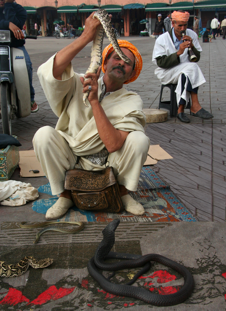 It cost me 20 Moroccan dirhams (about  $2.50 U.S. dollars) to get this snake charmers photo!