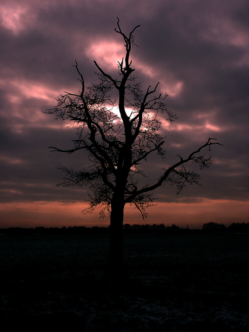 DPP_0008.JPG