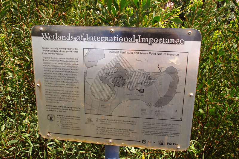 WCS1830.jpg