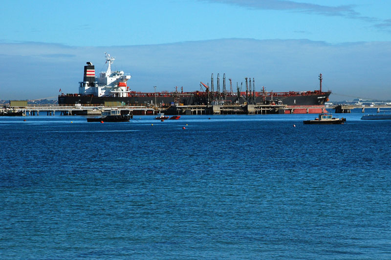 WCS1901.jpg