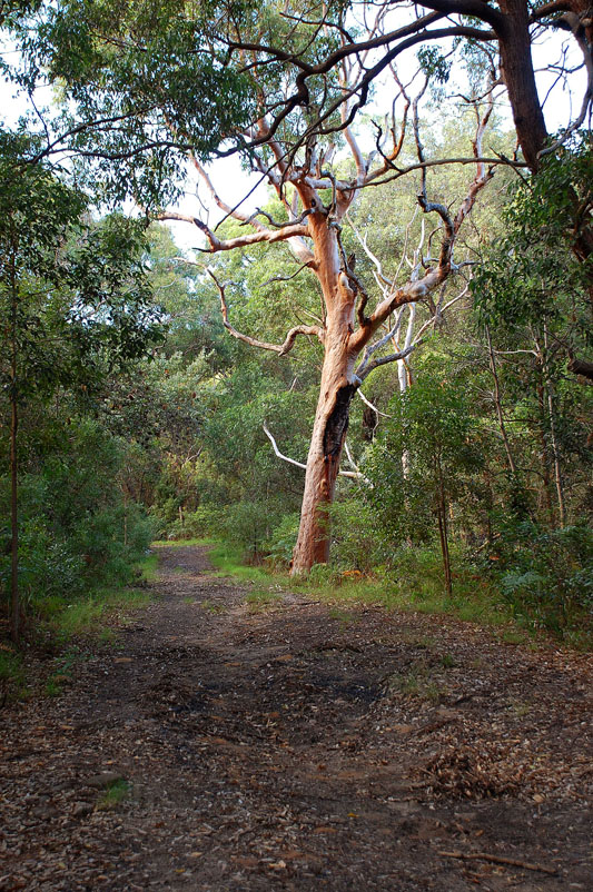 WCS1905.jpg