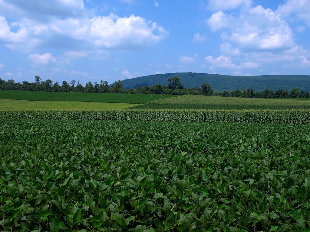 Hegins Farm