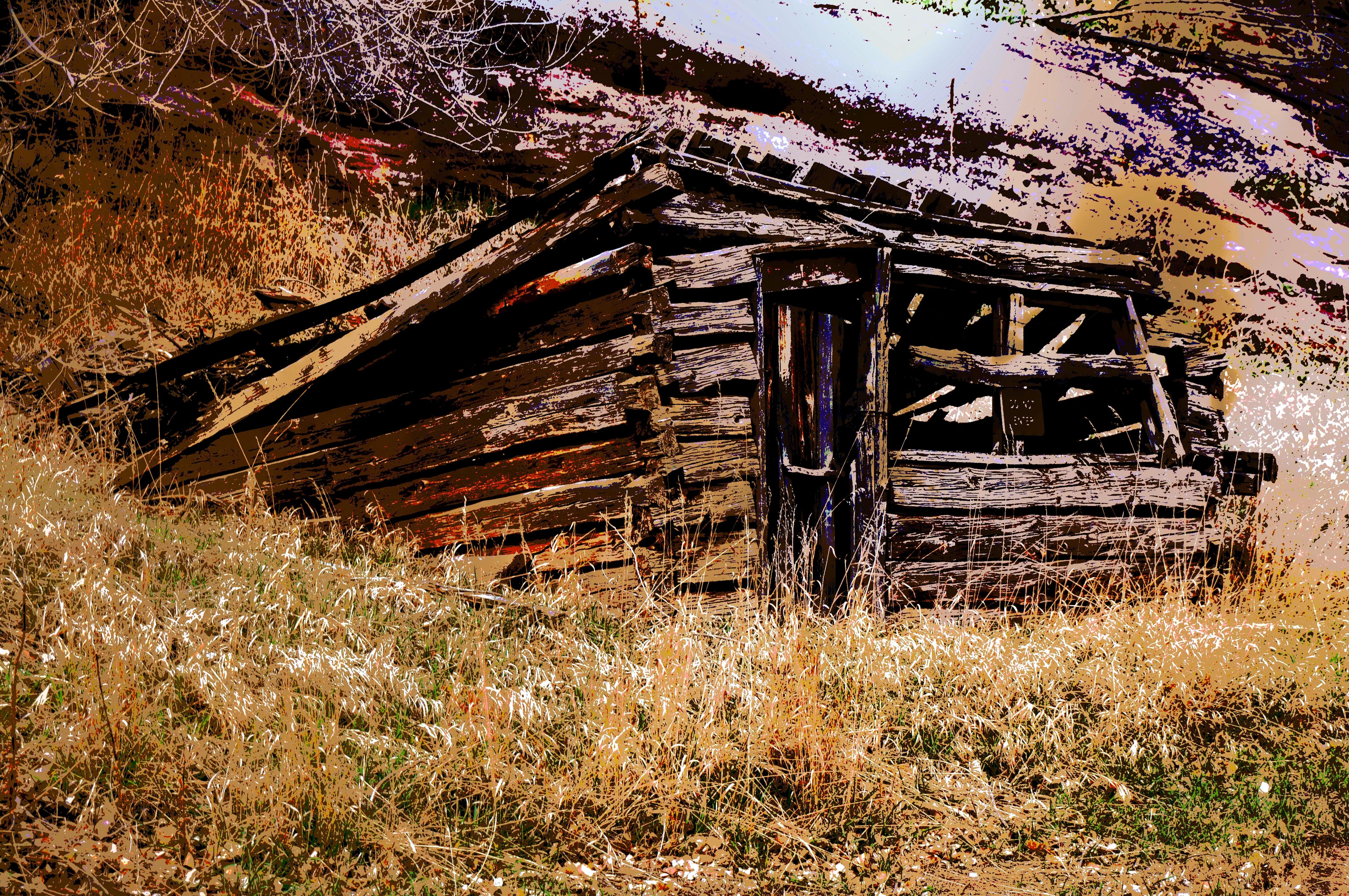 039 copy_Homesteaders Chicken Coop