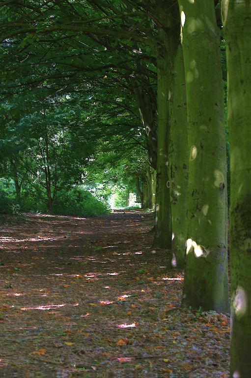 Wormwood Scrubs Park, North Kensington, London