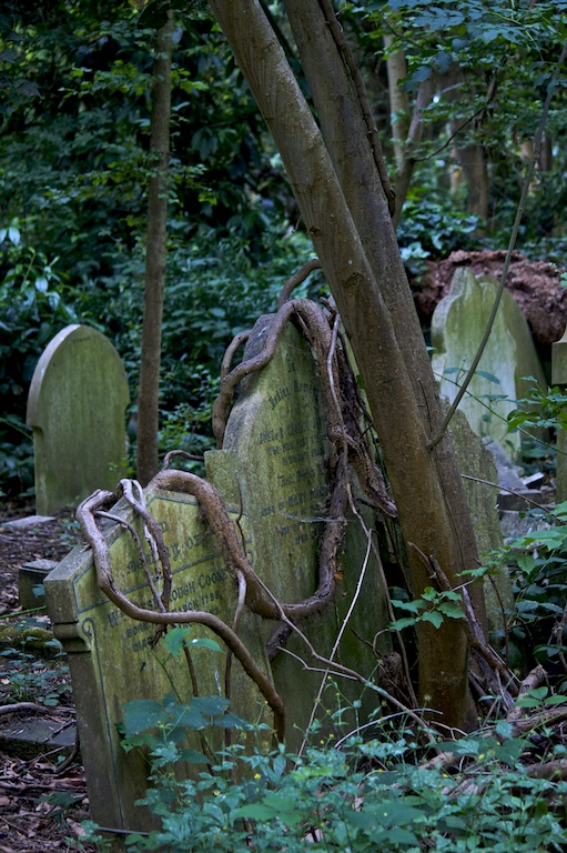 Highgate Cemetery London