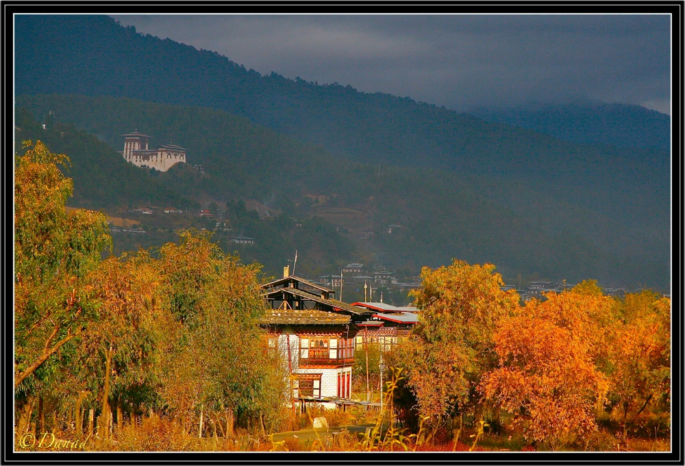 Bhumtang : End of afternoon on Jakar Dzong.