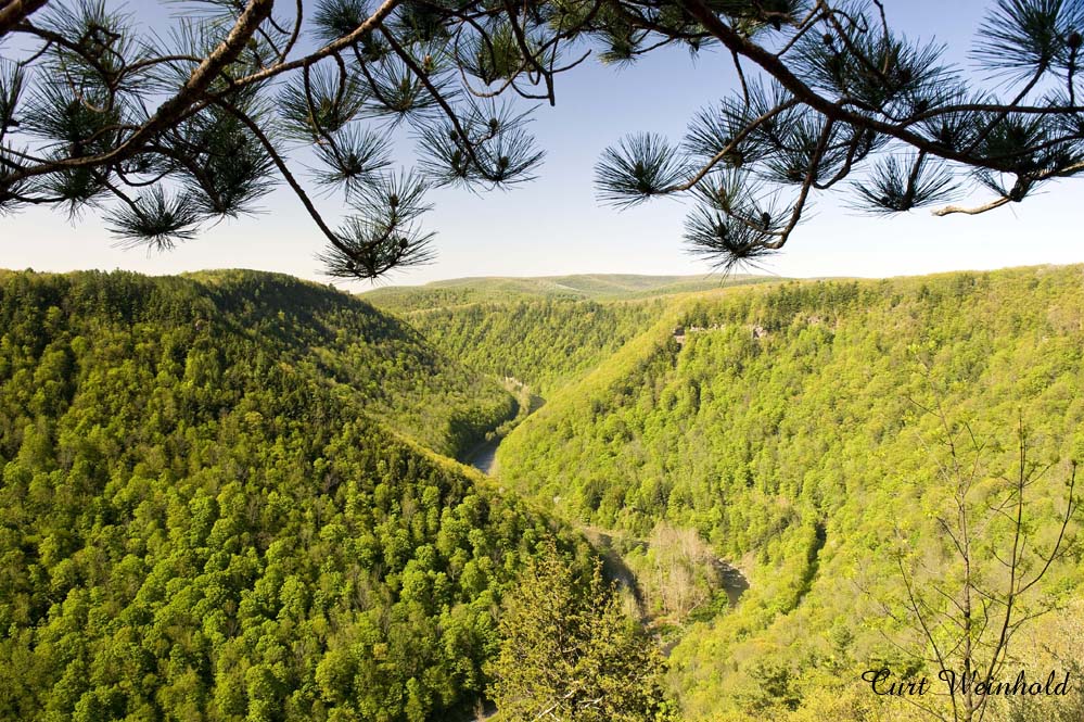 Canyon from Barbour Rock