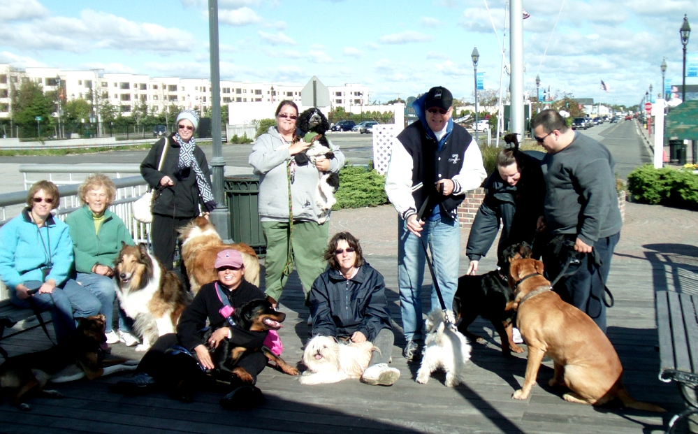 Cruisin Canines in Freeport