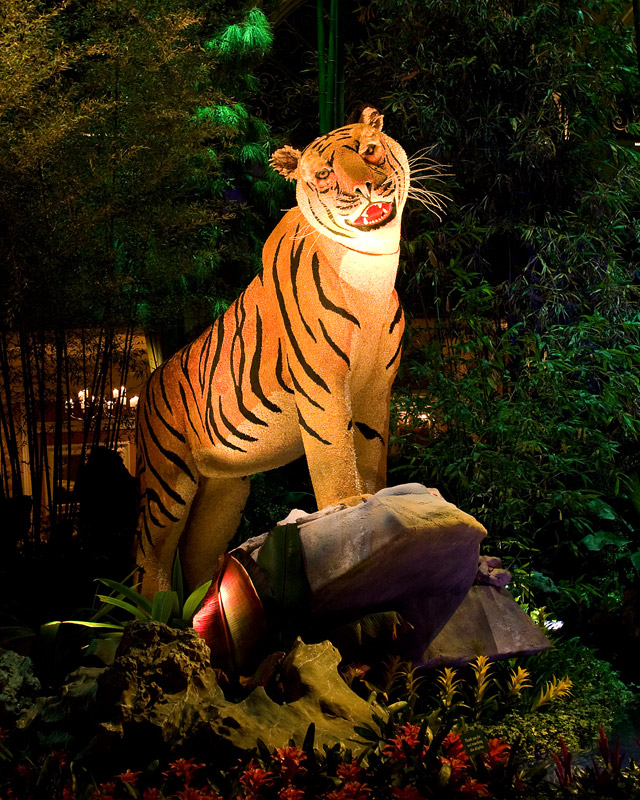 Bellagio Conservatory Tiger 1