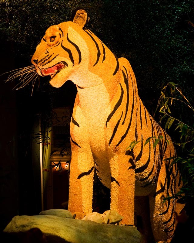 Bellagio Conservatory Tiger 2