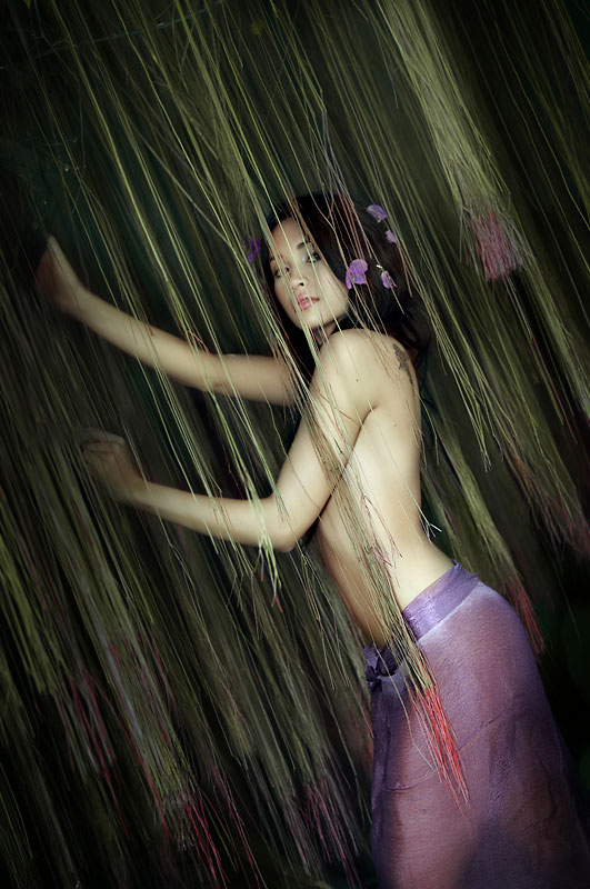 nymph 1