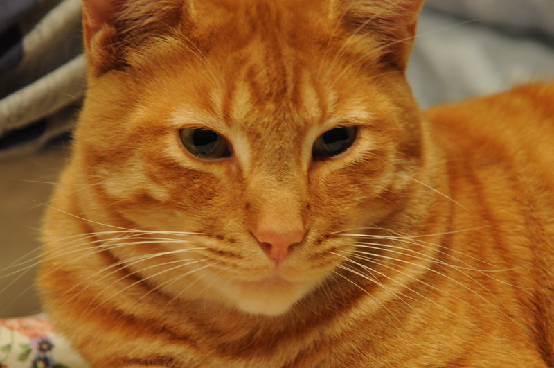 DSC_8819_resize.JPG