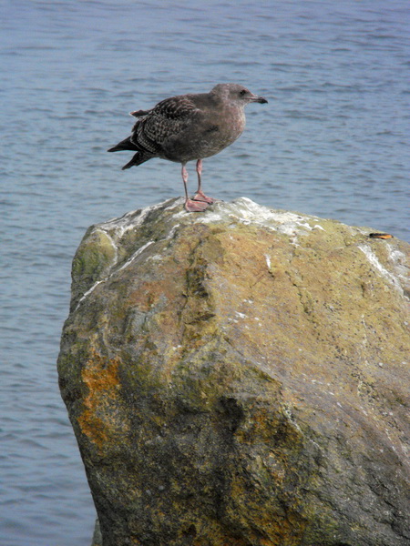 2009_09110007a_resize.jpg