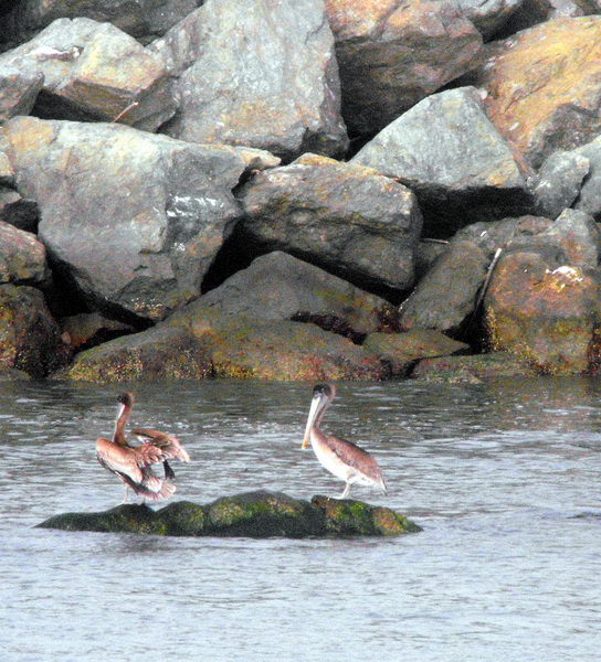 2009_09110008a_resize.jpg