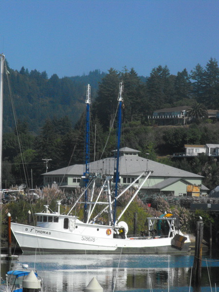 2009_09110063_resize.JPG