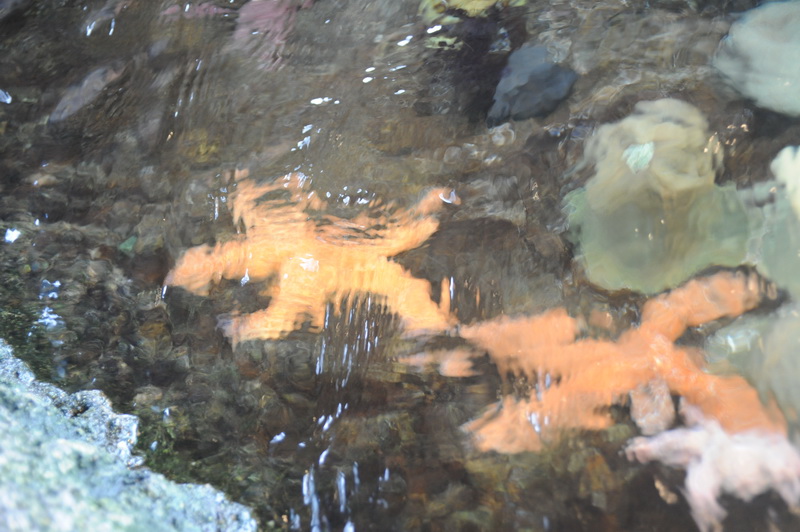 DSC_8040_resize.JPG