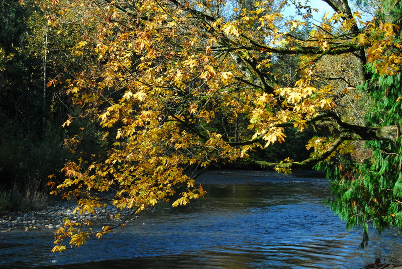 DSC_9026_resize.JPG