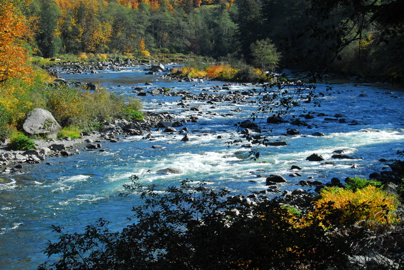 DSC_9032_resize.JPG