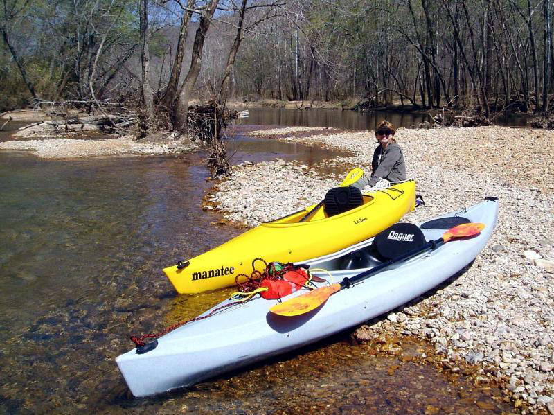 Dagger Delta and LLBean Manatee perception Swifty.jpg