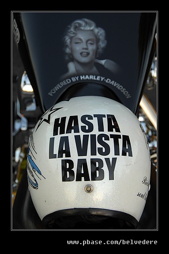 Custom Harley Davidson #02