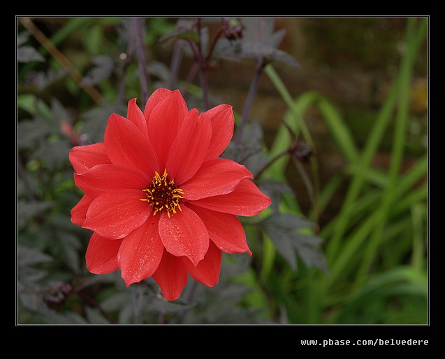 Olympus E-1 at Packwood House #04